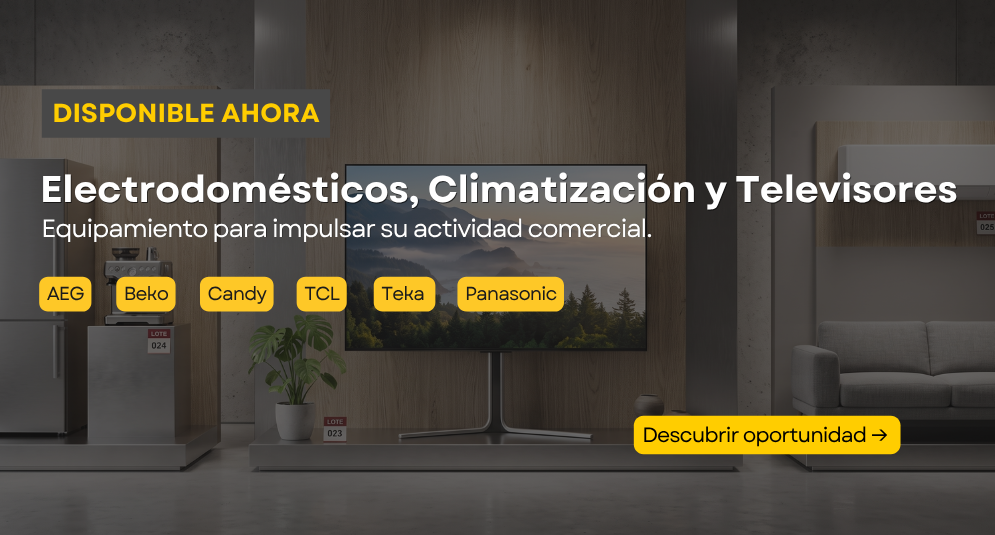 Appliances, Air Conditioning and Televisions - Commercial Court No. 10 of Barcelona